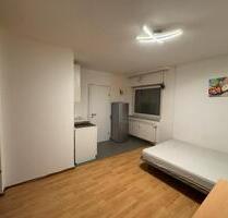 1-Zimmer-Apartment (17 m²) ab sofort zu vermieten - Steinwenden
