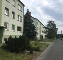 *NEU* 2 Zimmer Wohnung mit Gemeinschaftsgarten zu vermieten in Apenburg - Klötze