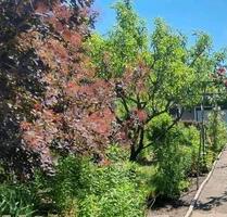 Kleingarten - 1.250,00 EUR Kaltmiete, ca.  0,00 m² in Leipzig (PLZ: 04347) Nordost