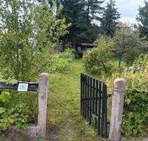 Kleingarten in Dresden Hellerau im KGV