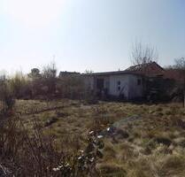 Garten abzugeben - 100,00 EUR Kaltmiete, ca.  0,00 m² in Riesa (PLZ: 01589)