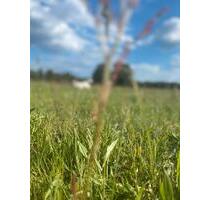 3 -Raumwohnung 100qm - 600,00&nbsp;EUR Kaltmiete, ca.&nbsp; 100,00&nbsp;m&sup2; in Döbern (PLZ: 03159)