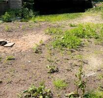 Freifläche, Lagerfläche, Gartenlandschafts oder Baubetriebe - Hamburg Wandsbek