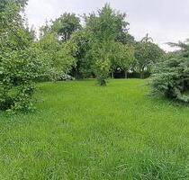 Garten mit massivem Gartenhaus und Garage in Alleinlage in Löbau