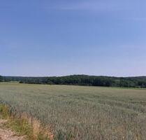 Ackerland landwirtschafliche Fläche - Finningen