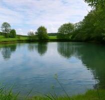 Fischweiher Teich Fischweiher 7000qm Karpfen - Kirchenthumbach