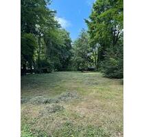 Gepflegter 1000m2 Garten in Oberrad am Waldrand zu vermieten - Frankfurt am Main