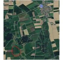 Wiese 2,4250 ha, Flur Gemeinde Lamerdingen Kleinkitzighofen