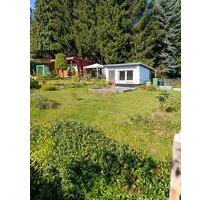 Kleingarten - 10,00 EUR Kaltmiete, ca.  0,00 m² in Zwickau (PLZ: 08058) Zwickau-Nord