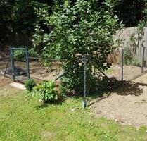 Gartenfläche, Grünfläche, Freizeitfläche, Schrebergarten, Garten - München Thalkirchen-Obersendling-Forstenried-Fürstenried-S