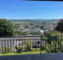 2-Zi. Panorama-Apartment Erbach Bestlage Erstbezug nach Sanierung