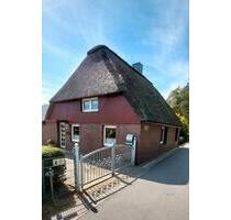 Haus Reetdach auf dem Land ohne Makler 3500 qm - Horst (Holstein)