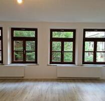 Schöne, neu renovierte 1-Zimmer-Wohnung in der Petzoltstraße 6, Nürnberg