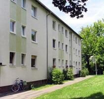 2,5-Zimmer-Wohnung im Grünen zu vermieten! - Frankfurt am Main Eschersheim