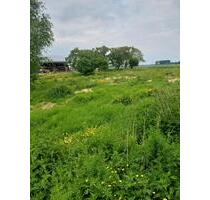 Wiese zu mieten in der Wingst - 111,00 EUR Kaltmiete, ca.  0,00 m² in Hammah (PLZ: 21714)