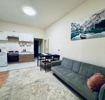 Subrent: Fully furnished 1 room appartment (Prenzlauer Berg) - Berlin Pankow