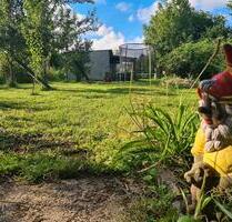 Kleingarten mit Obstbäumen zur freien Entfaltung ab Oktober 2025 - Bad Doberan