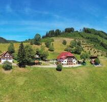 Urlaub im Schwarzwald - Ferienhaus - Bauernhof - tolle Lage! - Oppenau