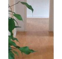Einzugsfrei⭐️Stadtnähe 057122114 zentral westl Stadtrand - Minden Bärenkämpen