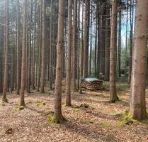 Zu vermieten - Waldgrundstück zw. Ammersee und Lech - München Ludwigsvorstadt-Isarvorstadt