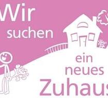 Zuhause bis 200000€. in Hainichen - Waldheim