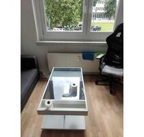 Möbilierte Studio Apartment Available -SUBLET!! bis ende Septem - Dresden Blasewitz
