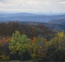 Waldstück Forstgrund Waldfläche Grundstück Hauberg Wald Holz 2ha - Siegen Dillnhütten