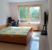 1 Zimmer Wohnung im Erdgeschoss in Germersheim