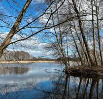 Seegrundstück mit Insel – Freizeit, Wald, Naturparadies Spreewald - Märkische Heide