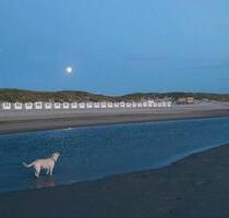 Texel, Ferienhaus de Krim Park, Hundeurlaub, Familienurlaub - Hückeswagen