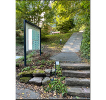 Räume für BeratungTherapieGesundheitsangebote - Bovenden