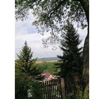 1200qm Eigentums Garten - 55.000,00 EUR Kaltmiete, ca.  0,00 m² in Bucha (PLZ: 07751)