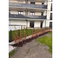 2 Zimmer Wohnung Neubau - 1.290,00 EUR Kaltmiete, ca.  60,00 m² in Berlin (PLZ: 12349) Neukölln