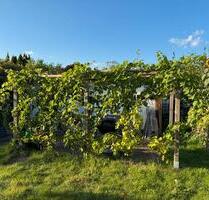 Wunderschöner Schrebergarten mit Sparge, Wein und Schaukel - Braunschweig Heidberg-Melverode