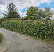 Garten Grundstück in Gießen zu verpachten - Weilburg