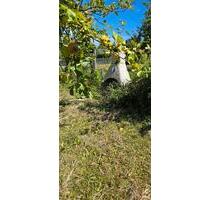 Strebergarten - 2.000,00 EUR Kaltmiete, ca.  0,00 m² in Lübeck (PLZ: 23570) Alt-Travemünde / Rönnau