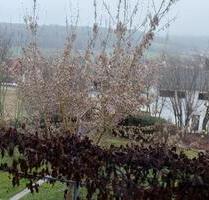 Ferienwohnung - 30,00&nbsp;EUR Kaltmiete, in Thalmässing (PLZ: 91177)