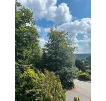 Schönes Haus mit fantastischer Aussicht temporär zu vermieten - Morsbach