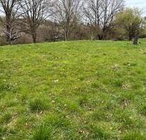 Freizeitgrundstück Gartengrundstück zu verpachten - Baden-Baden