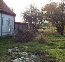 Leben unter dem weiten Himmel des Oderbruchs - Küstriner Vorland