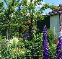 Kleingarten abzugeben - 1.500,00 EUR Kaltmiete, ca.  0,00 m² in Neubrandenburg (PLZ: 17033)