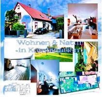 Haus Mehrfamilienhaus 3 Wohneinheiten 342m² Wfl, 1800m² Grdst - Lichtenau