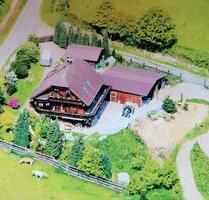 BAUERNHOF - PFERDEHOF - 4 HEKTAR WEIDE DIREKT AM HAUS - Windeck