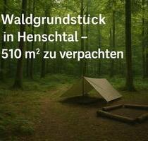 Wald in 66909 Henschtal zu verpachten für Waldfreunde Bushcrafter - Herschweiler-Pettersheim