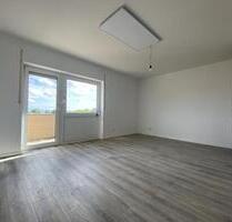 VOLLSANIERTE 2-ZKB | Balkon und Aufzug | Moderne Infrarot-Heizung | ab SOFORT zu vermieten! - Ludwigshafen am Rhein Parkinsel