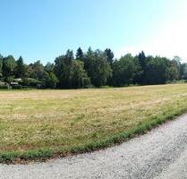 Freizeitgrundstück Lagerfläche bei Landau-Insheim zu verpachten