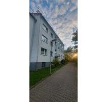 2ZKBB FRISCH RENOVIERT mit EBK in Frankfurt Seckbach - Frankfurt am Main Innenstadt 3