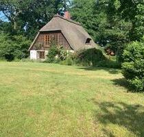 Familientraum unter Reet – ruhig & naturnah leben - Horst (Holstein)