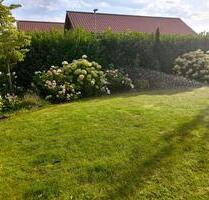 * Provisionsfrei* Neuwertiger Energieeffizienter Bungalow - Neustadt am Rübenberge