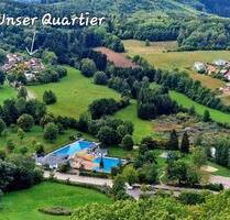 Katzen & Hunde willkommen - Falkenstein Bayerischer Wald - Regensburg Kumpfmühl